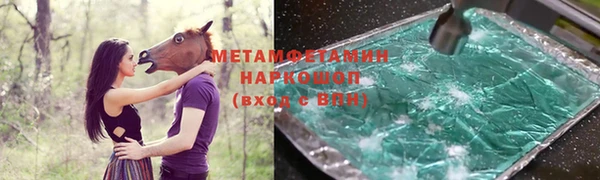 ПСИЛОЦИБИНОВЫЕ ГРИБЫ Гусев