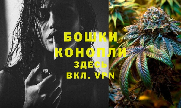 ПСИЛОЦИБИНОВЫЕ ГРИБЫ Гусев