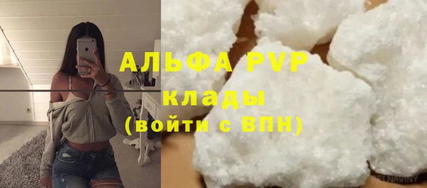 ПСИЛОЦИБИНОВЫЕ ГРИБЫ Гусев