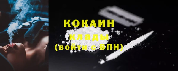 ПСИЛОЦИБИНОВЫЕ ГРИБЫ Гусев
