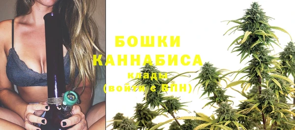 каннабис Гусиноозёрск