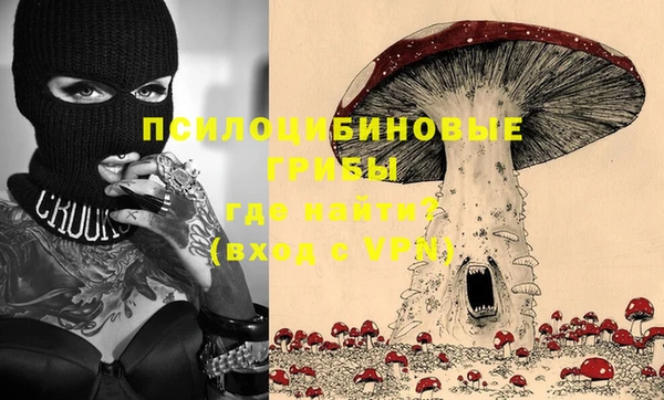 ПСИЛОЦИБИНОВЫЕ ГРИБЫ Гусев