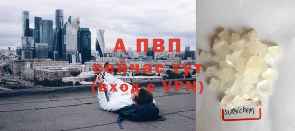 ПСИЛОЦИБИНОВЫЕ ГРИБЫ Гусев