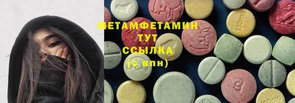 ПСИЛОЦИБИНОВЫЕ ГРИБЫ Гусев
