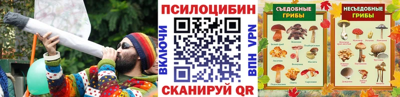 Псилоцибиновые грибы Psilocybine cubensis  Купить закладки  Ермолино 